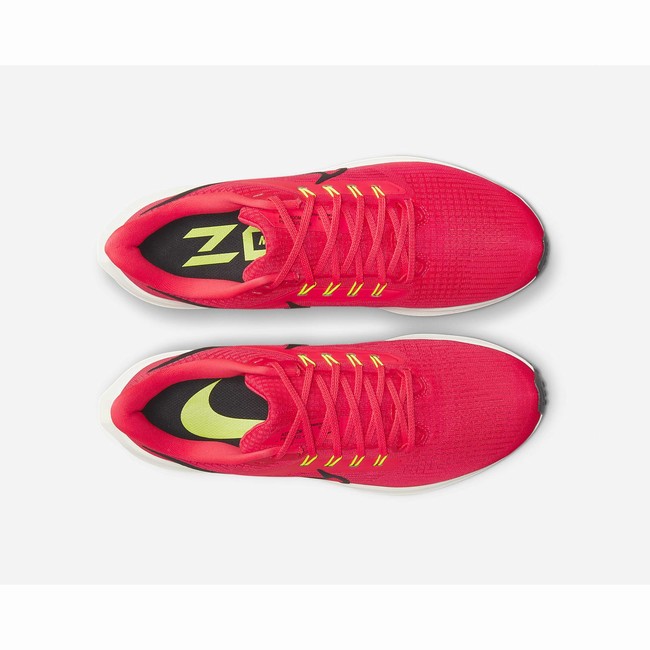 Buty Do Biegania Szosowe Nike Air Zoom Pegasus 39 A.I.R. Hola Lou Męskie Czerwone Czerwone Czarne | Polska-36273